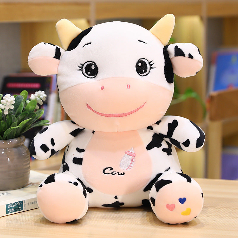 Meng Meng the cute baby cow