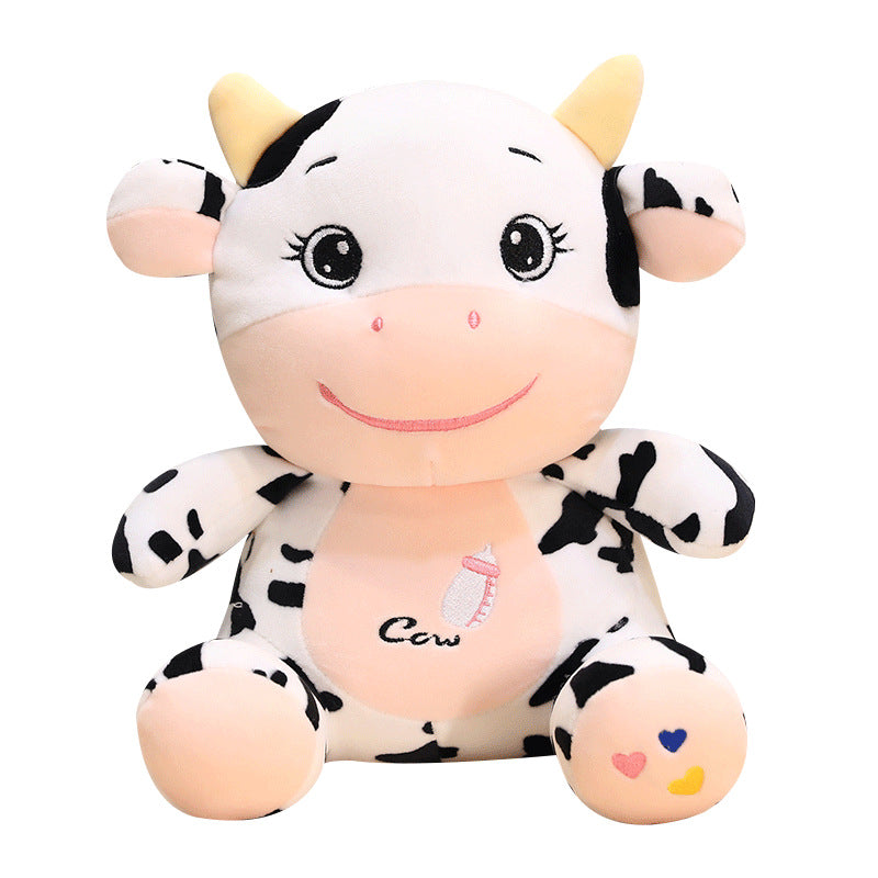 Meng Meng the cute baby cow