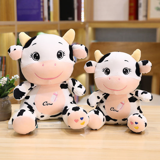 Meng Meng the cute baby cow