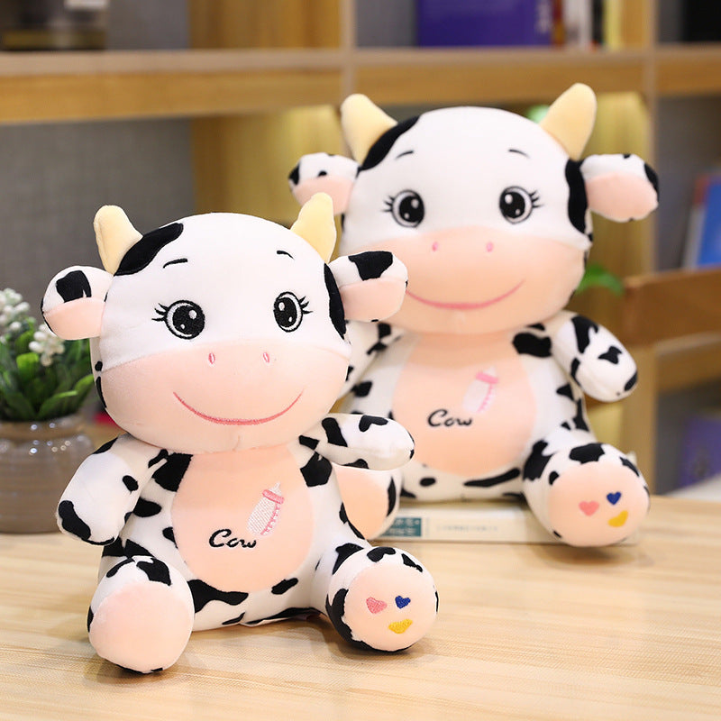 Meng Meng the cute baby cow