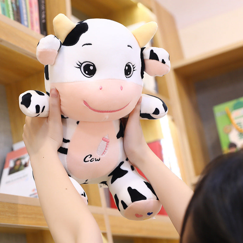 Meng Meng the cute baby cow
